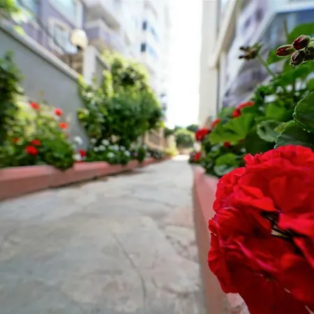 Appartement Best 12 Alanya